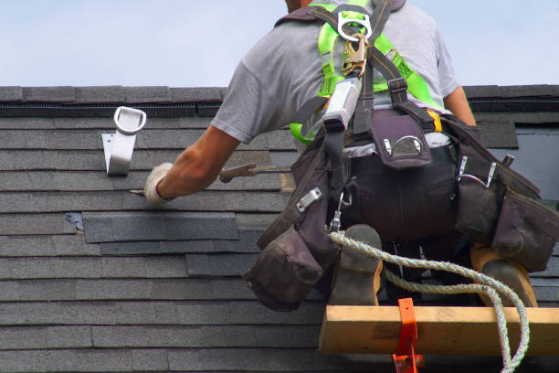 Best Roof Moss and Algae Removal  in Hanley Hills, MO